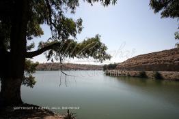 Image du Maroc Professionnelle de  Le Barrage Machraa Hamadi dont la capacité est de 42 Millions de m3, est construit sur l'Oued Moulouya, il permet, depuis 1956, d'approvisionner la région et d'irriguer les terres de cultures, ce barrage fournit en eau potable les ville de Nador, Oujda, il permet également l'approvisionnement des centre de Taourirte et El Aïoun Sidi Mellouk. Samedi 1er octobre 2005. (Photo / Abdeljalil Bounhar) 